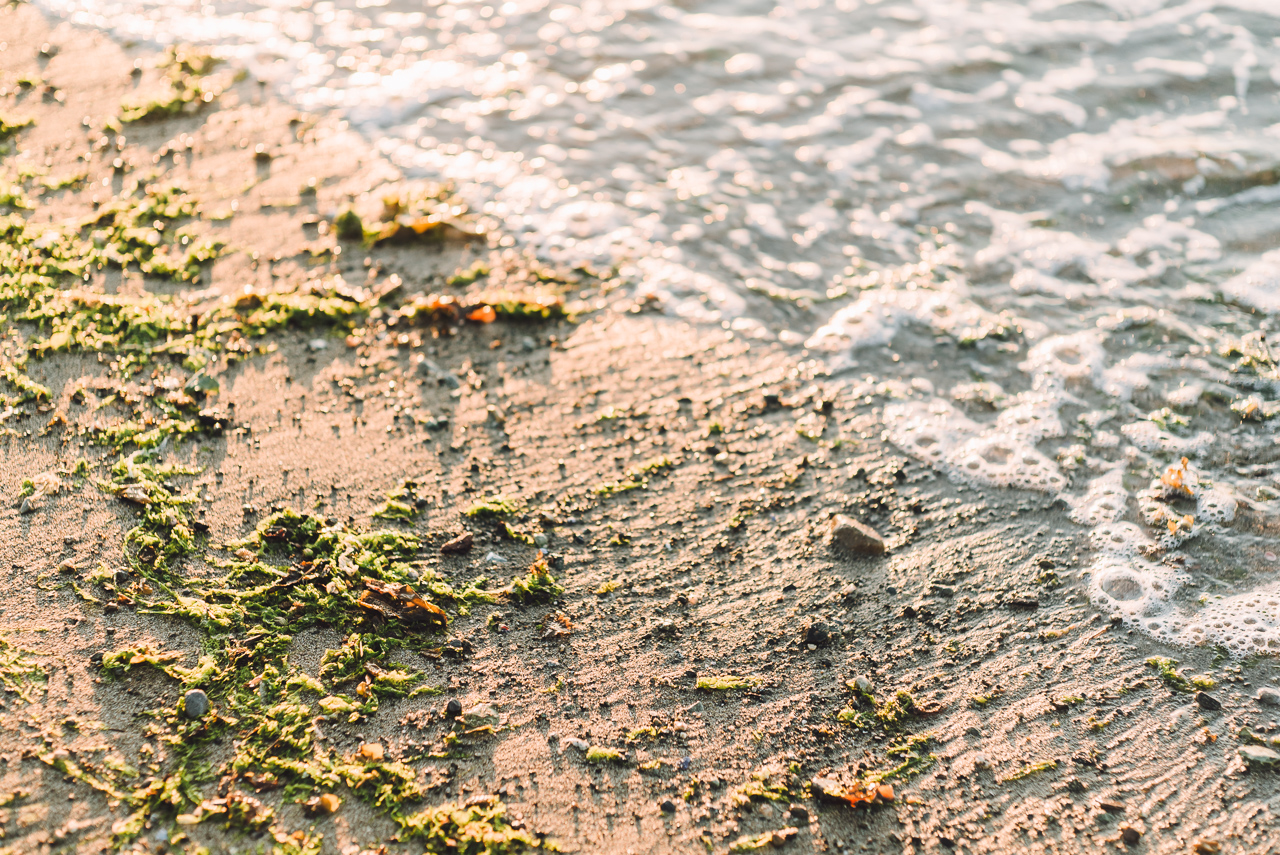 engagement, spanish banks, vancouver, wedding photographer, vancouver wedding photographer, film, vancouver best wedding photographer, wedding