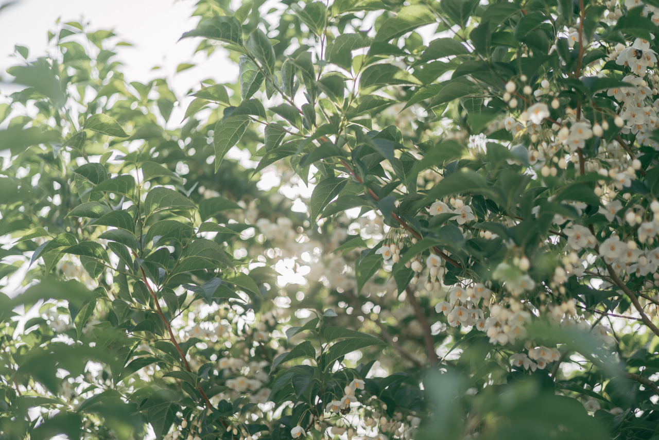 Lovefrankly-erikageoffwedweb-78