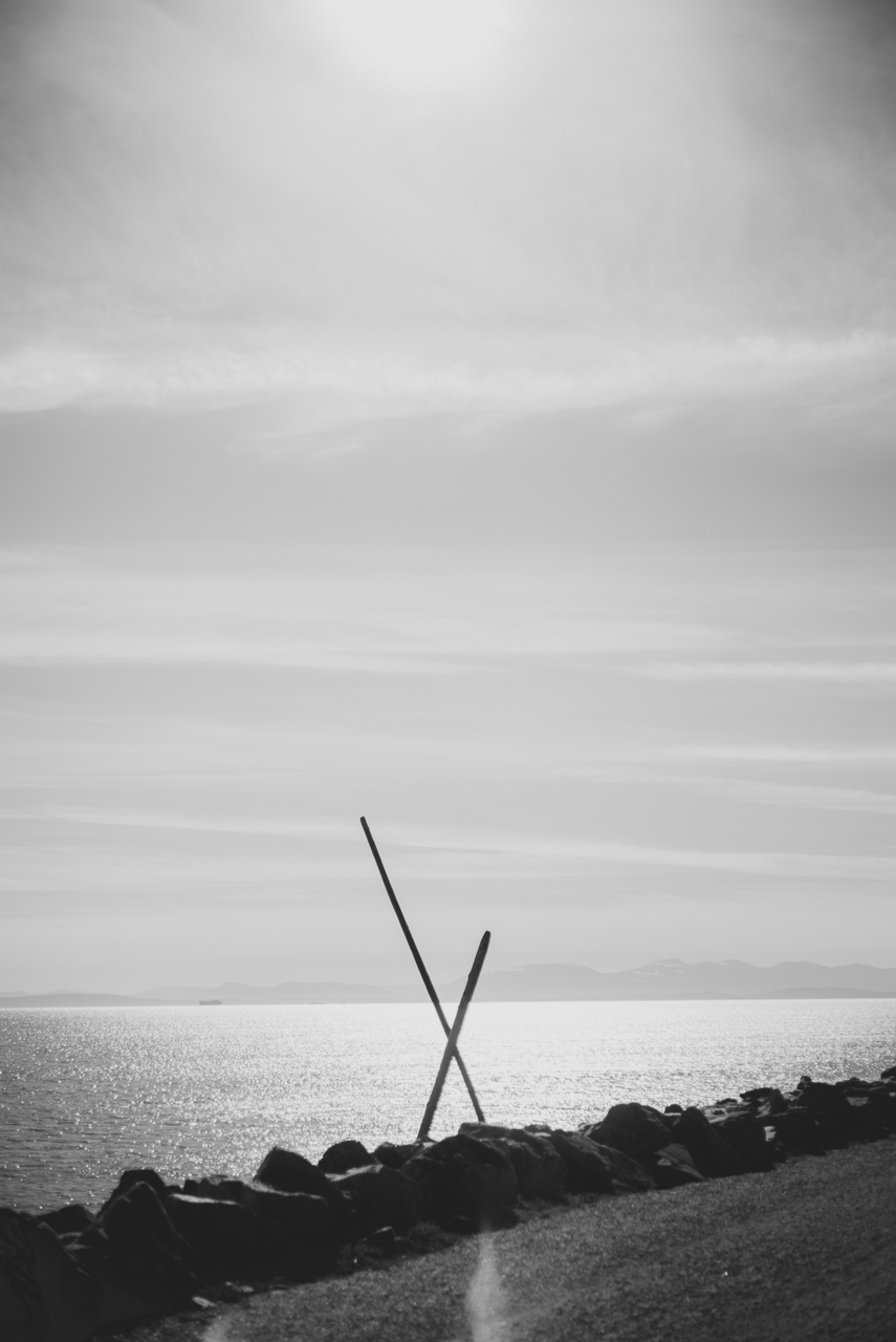 engagement, iona beach, richmond, vancouver